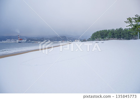 凱希松樹林雪灘 135845773