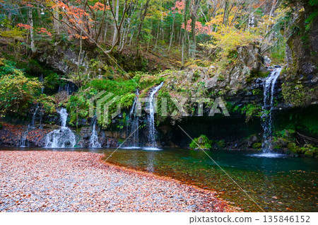 Jinba Falls, Autumn leaves, Fujinomiya City 135846152