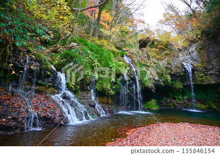 Jinba Falls, Autumn leaves, Fujinomiya City 135846154