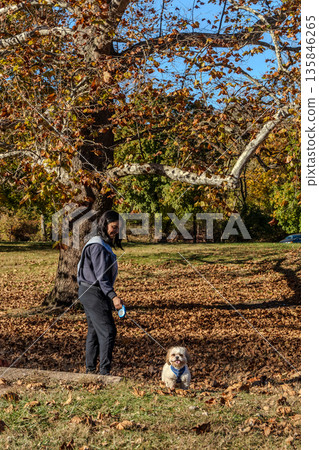 A woman is walking her dog in a park 135846265