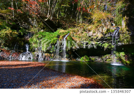 Jinba Falls, Autumn, Fujinomiya City 135846307