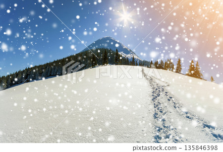 Beautiful winter landscape in the mountains with snow path in steppe. Happy New Year celebration concept. 135846398