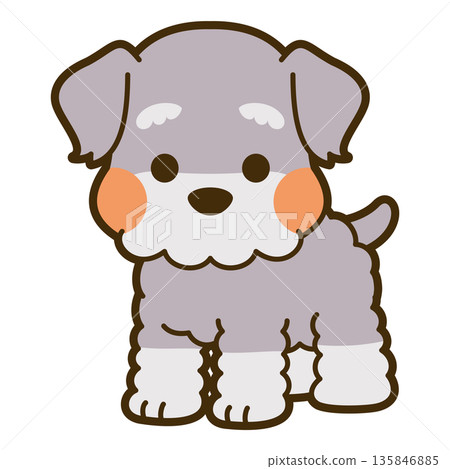 Illustration of a miniature schnauzer Illustration of a miniature schnauzer 135846885