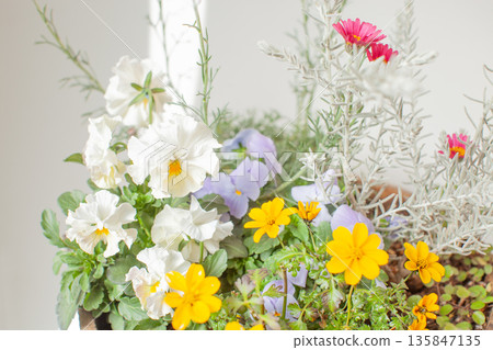 早春時節，木盆栽種 135847135