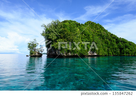 Palau Islands seen from a boat Rock Islands Palau scenery 135847262