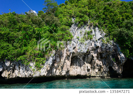 從船上眺望帛琉群島，帛琉洛克群島風光 135847271