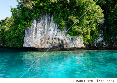 從船上眺望帛琉群島，帛琉洛克群島風光 135847275