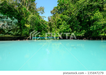 Milky white sea, Milky Way, Palau scenery Milky white sea, Milky Way, Palau scenery 135847279