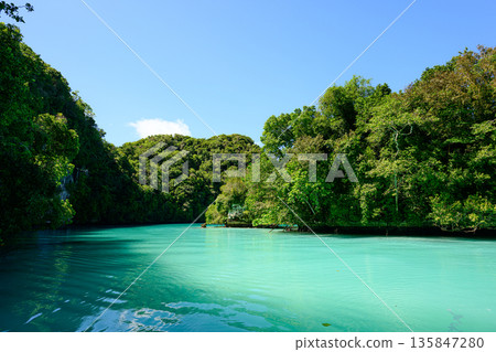 Milky white sea, Milky Way, Palau scenery Milky white sea, Milky Way, Palau scenery 135847280
