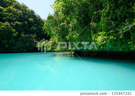 Milky white sea, Milky Way, Palau scenery 135847281