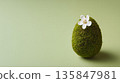 Moss-covered Easter egg with a delicate white flower on green background 135847981