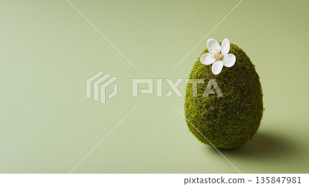 Moss-covered Easter egg with a delicate white flower on green background 135847981