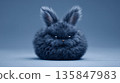 Intensely fluffy dark rabbit with grumpy expression 135847983