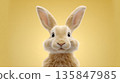 Adorable fluffy rabbit with puffed cheeks on yellow background 135847985