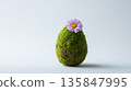 Delicate moss-covered Easter egg with pink blossom 135847995