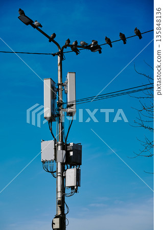 A group of pigeons sits atop a telecommunications pole with antennas against a clear blue sky 135848136
