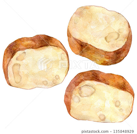Watercolor illustration, hand-drawn illustration, baguette Watercolor illustration, hand-drawn illustration, baguette 135848929