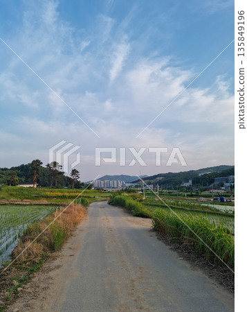 This is a rural landscape in spring.	 135849196