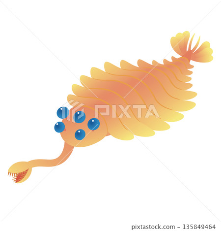 歐巴賓巨獸,一種寒武紀史前動物 歐巴賓巨獸,一種寒武紀史前動物 135849464