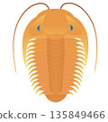 三葉蟲：寒武紀史前生物 135849466
