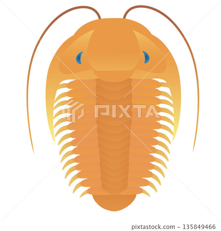 三葉蟲：寒武紀史前生物 135849466