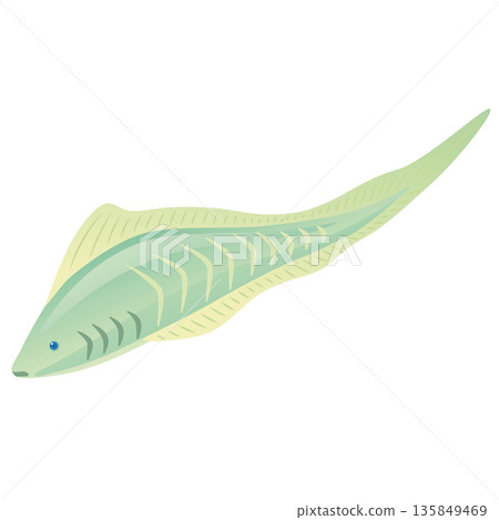 Milocummingia, a Cambrian prehistoric animal Milocummingia, a Cambrian prehistoric animal 135849469