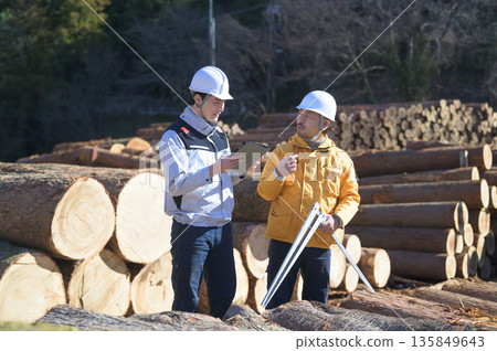 A man measuring a log with a vernier caliper and a tablet A man measuring a log with a vernier caliper and a tablet 135849643