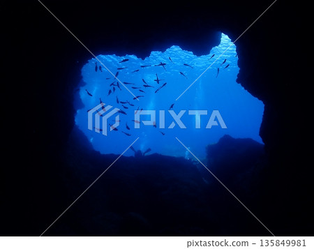 Underwater cave exit and fish Underwater cave exit and fish 135849981