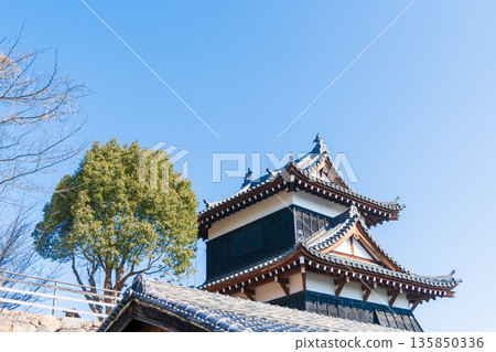 Blue sky and the scenery of the East Corner Tower 135850336