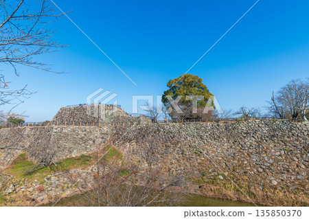 從五事研馬場遺址眺望郡山城天守閣。 從五事研馬場遺址眺望郡山城天守閣。 135850370