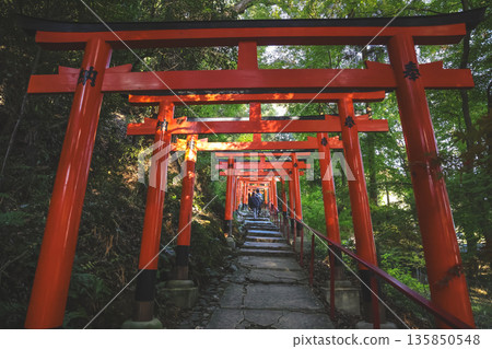 Nov 23 2025 Historic Kamigamo Shrine in Kyoto Japan Landscape 135850548