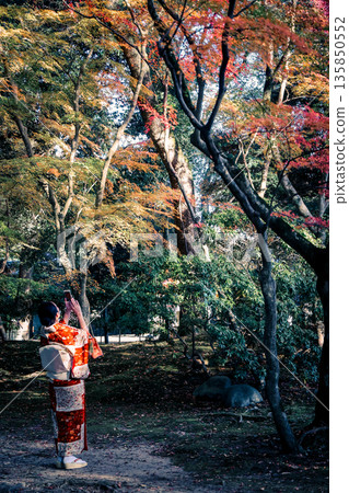 Nov 23 2025 Woman in Kimono Photographing Autumn Leaves in Tranquil Joke en 135850552