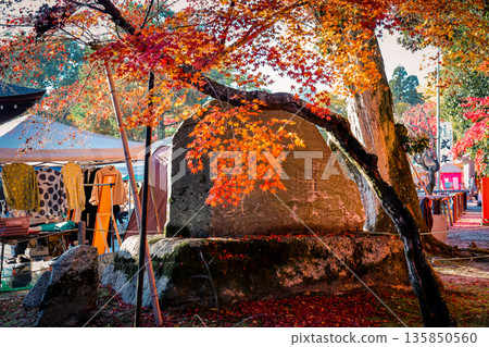Nov 23 2025 Tranquil Joke en Japanese Garden in Kyoto Japan 135850560