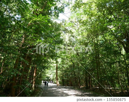 通往伊勢神宮的道路兩旁綠樹成蔭。 135850875