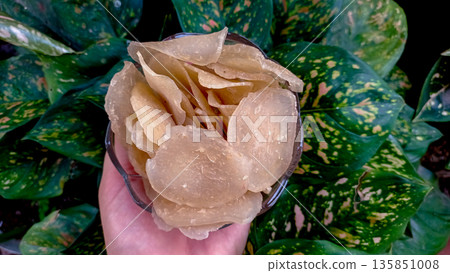 Raw Indonesian Fish Crackers Kemplang in Glass Bowl with Leafy Background Raw Indonesian Fish Crackers Kemplang in Glass Bowl with Leafy Background 135851008