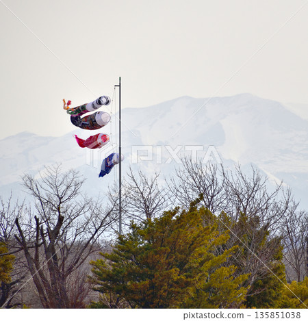 Kiyosato Carp streamer Kiyosato Carp streamer 135851038