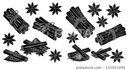 Collection of Cinnamon Sticks and Star Anise Spices 135851049