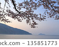 Spring morning_Chikubushima Island in Lake Biwa_Cherry blossoms at Kaizu Osaki 135851773