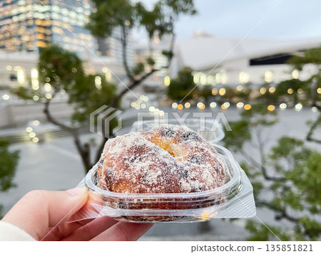 Sweet donuts coated with powdered sugar. Deep-fried snacks. Sweet donuts coated with powdered sugar. Deep-fried snacks. 135851821