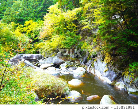 昇仙峽的紅葉 135851991