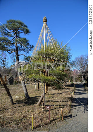 Yukitsuri at Mukojima Hyakkaen 135852102
