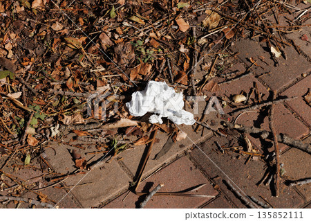 Discarded tissue Discarded tissue 135852111