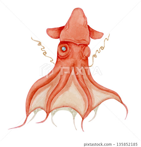 蝙蝠章魚深海生物水彩插圖 蝙蝠章魚深海生物水彩插圖 135852185