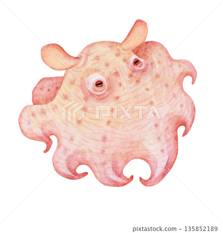 章魚，深海生物，水彩插圖 135852189