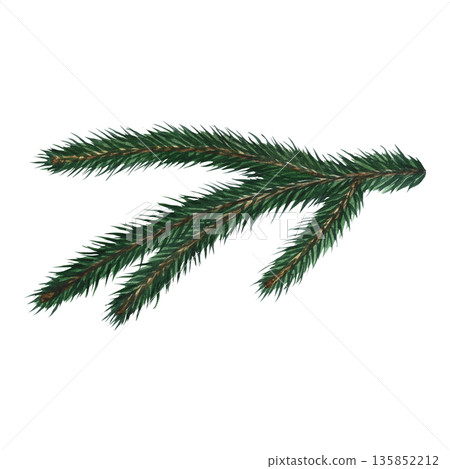 Spruce branch. Hand-drawn watercolor illustration. Isolated. An element of your Christmas and New Year design for greeting cards, posters, banners, packaging, and more. Spruce branch. Hand-drawn watercolor illustration. Isolated. An element of your Christmas and New Year design for greeting cards, posters, banners, packaging, and more. 135852212