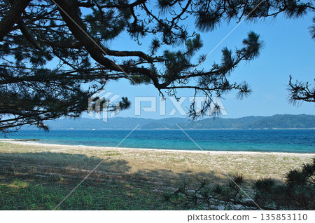 The blue sea and white beach seen through the pine branches in summer (Amanohashidate, Kyoto) 135853110