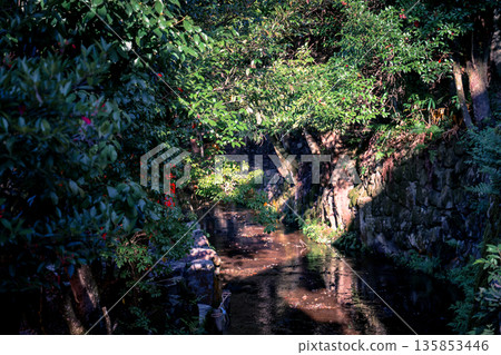 Nov 23 2025 Historic Kamigamo Shrine in Kyoto Japan Landscape Nov 23 2025 Historic Kamigamo Shrine in Kyoto Japan Landscape 135853446