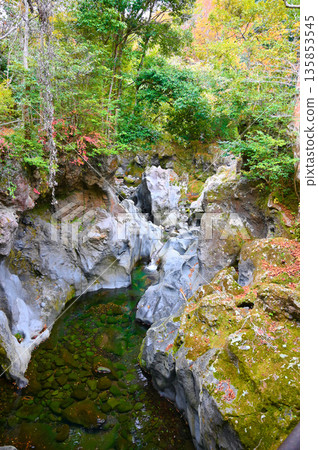 裾野市慶島久烈瀑布 裾野市慶島久烈瀑布 135853545