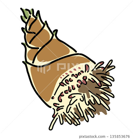 A simple illustration of freshly dug bamboo shoots with roots still attached 135853676