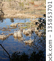 Shimokaze Pond 135853701